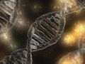 Conservar el ADN de un pariente fallecido para prevenir enfermedades hereditarias