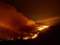 La deforestacin afecta gravemente a nuestra salud